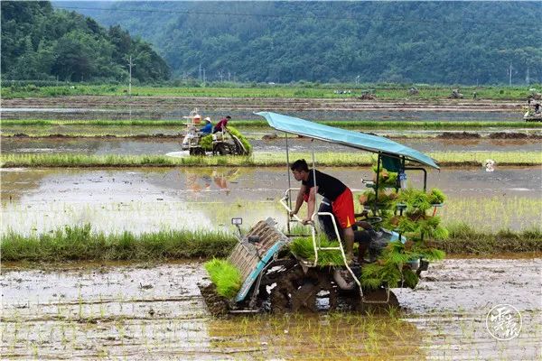 沧源县的风景区有哪些,云南沧源有什么好玩的地方