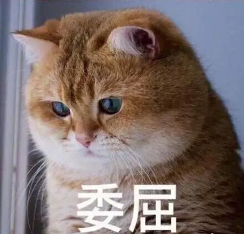 零首付车贷买车,贷款买车零利息有什么套路