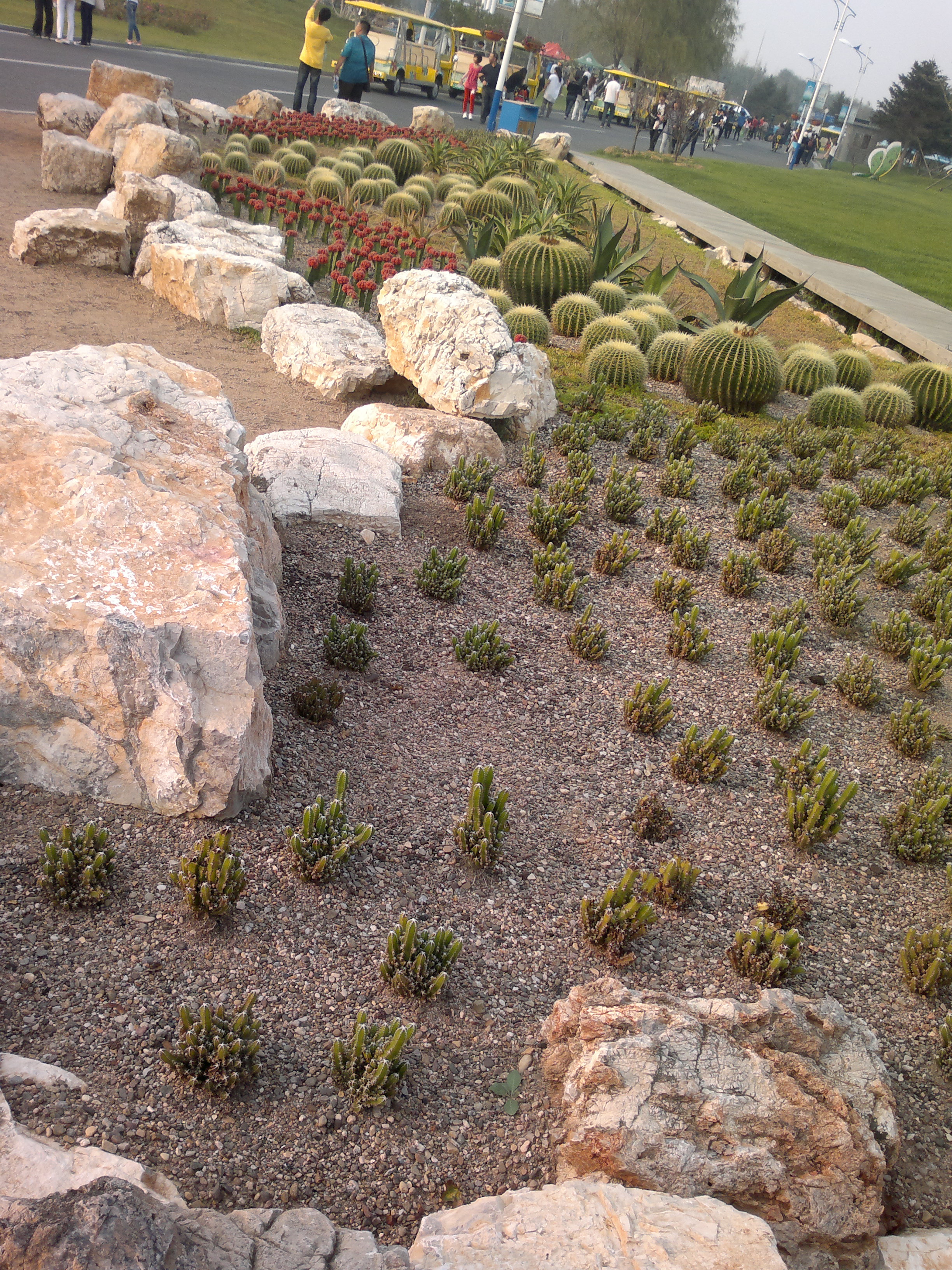 锦州世博园最好的地方,锦州世博园最佳游玩时间