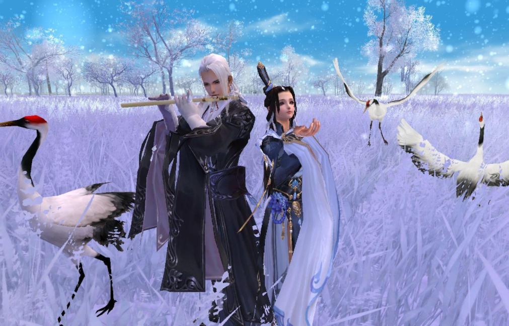 剑网3不打竞技场,剑网3打竞技场