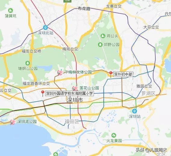 深圳外国语小学有什么政策,深圳春蕾小学升百合外国语