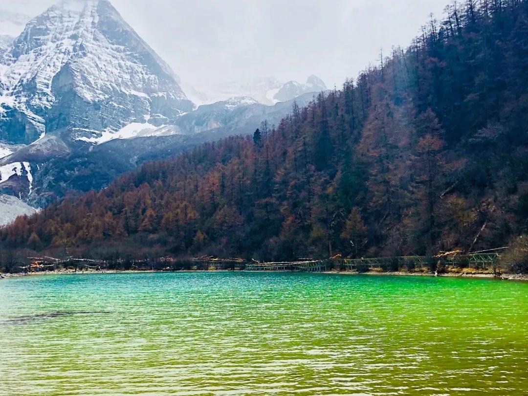 稻城亚丁春天视频,稻城亚丁春天风景