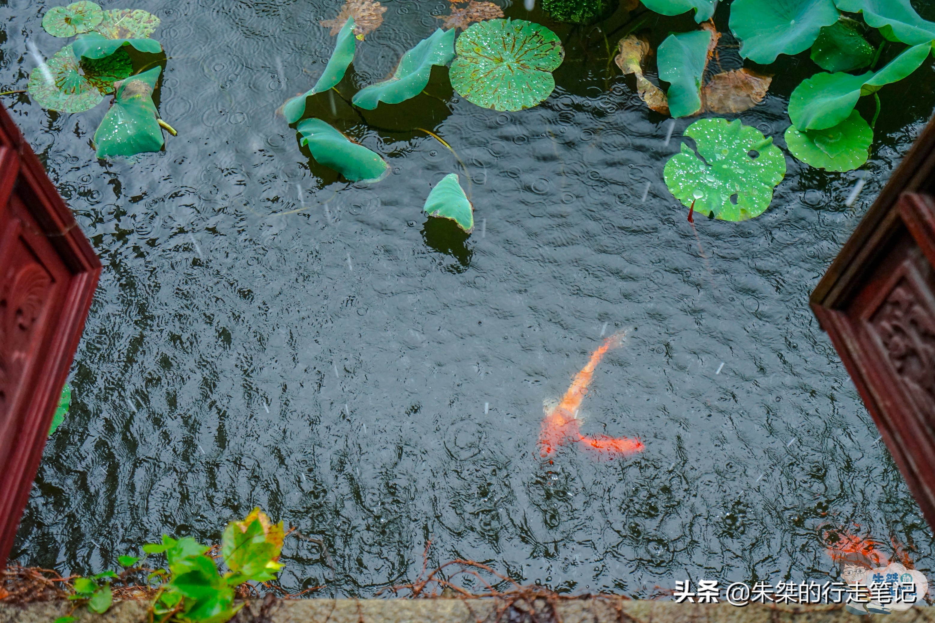 南浔古镇有什么特色吗视频,南浔古镇有哪些好玩好吃的特色