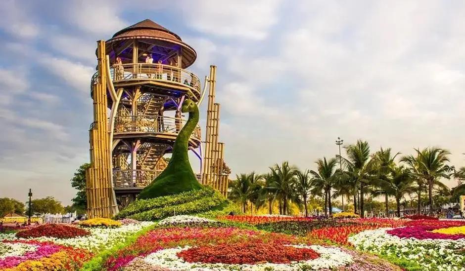 泰国留学生去泰国登机流程,坐飞机去泰国留学行李规定最新