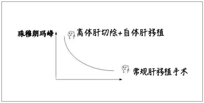 把肝脏取出来,把肝取出来会怎么样