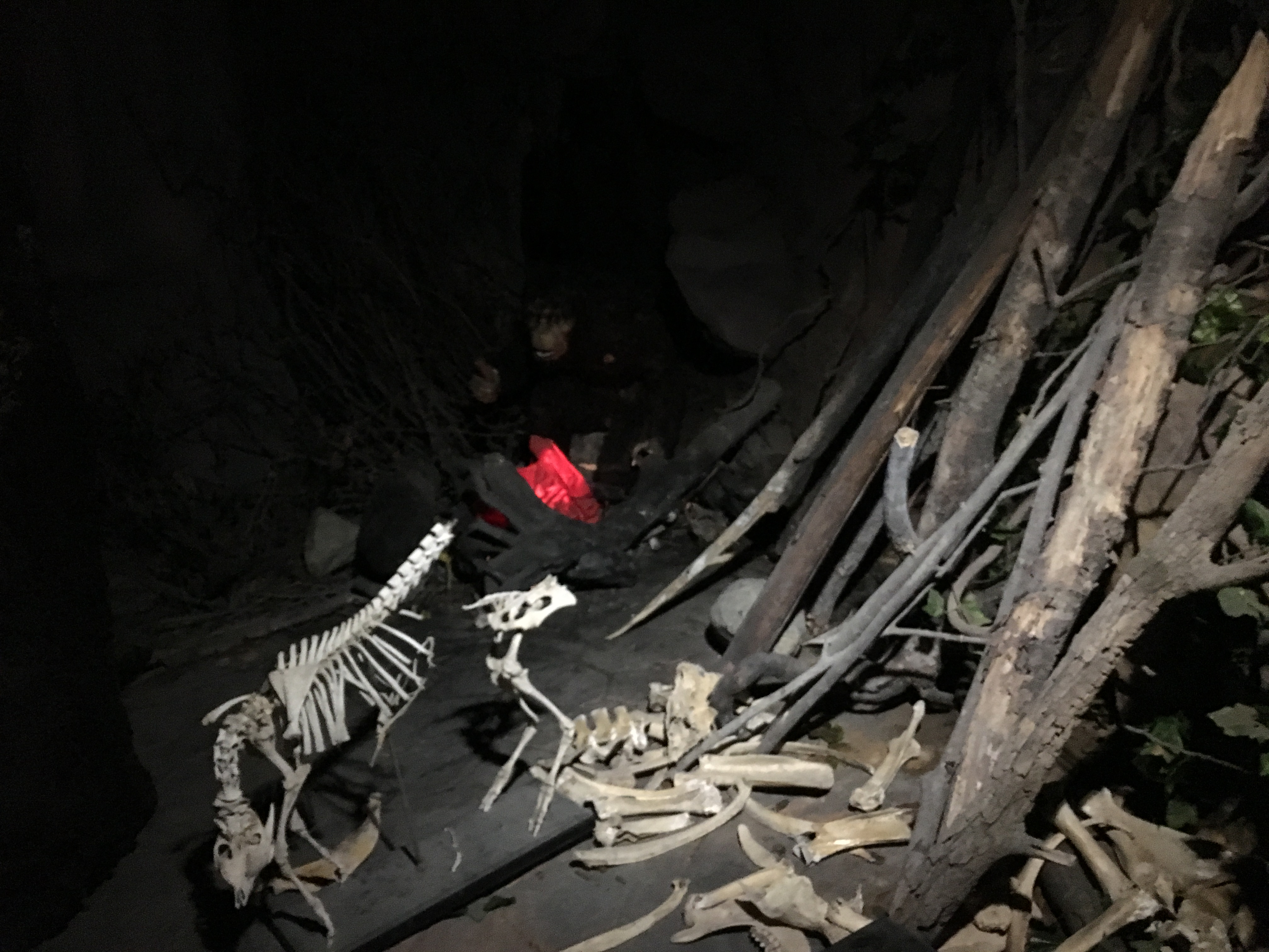 雨中神农架探秘之旅｜国庆节武汉至神农架自驾游攻略分享