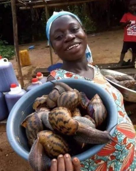 非洲大蜗牛有“脏”，就连敢喝恒河水的人，都不敢碰它