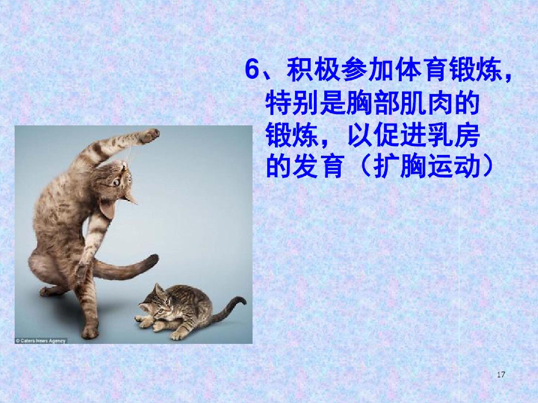 青春期孩子教育课件,青春期健康教育课件免费下载