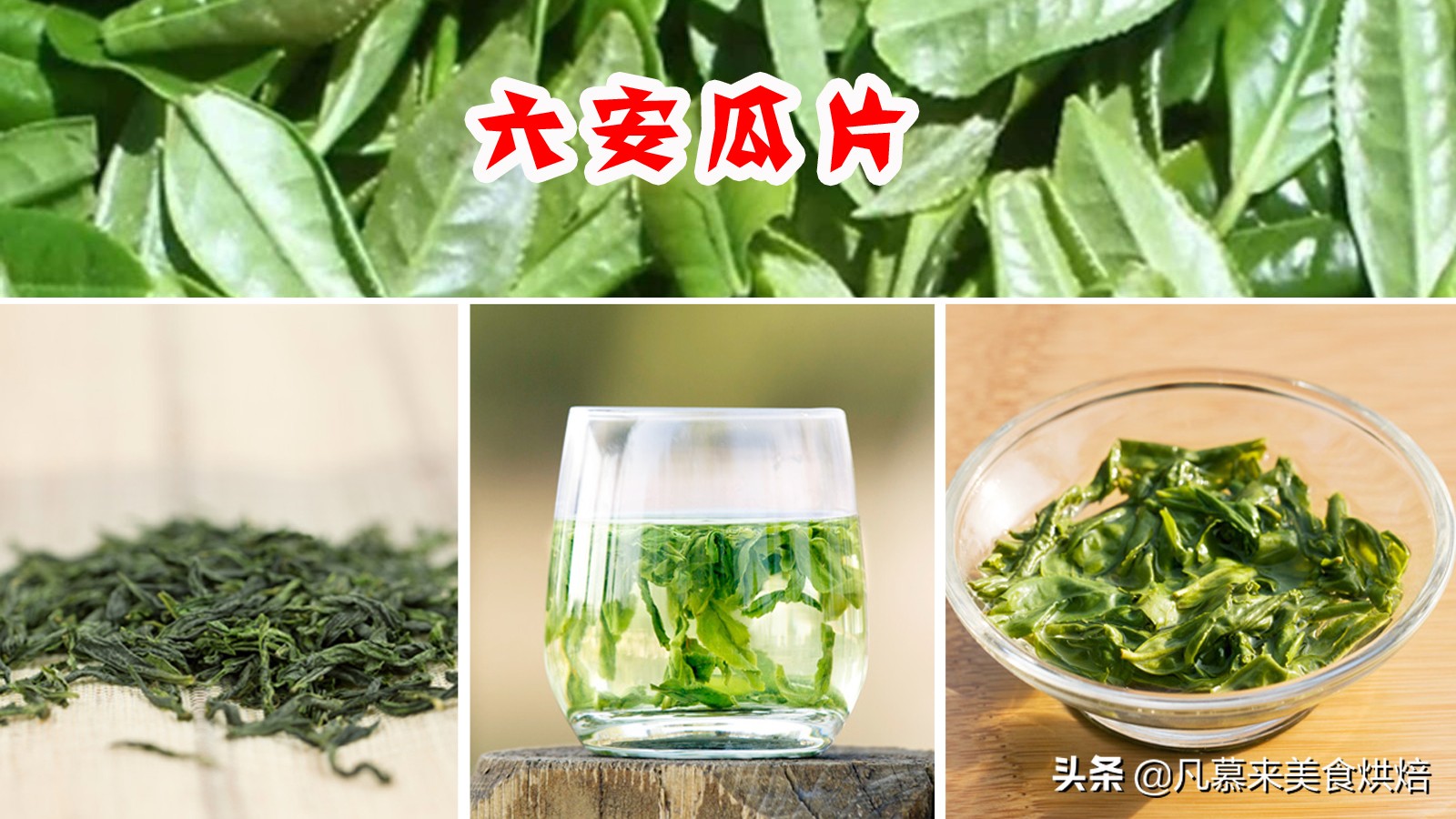 什么品种的茶叶最好喝,中国十大名茶哪种茶叶最好喝