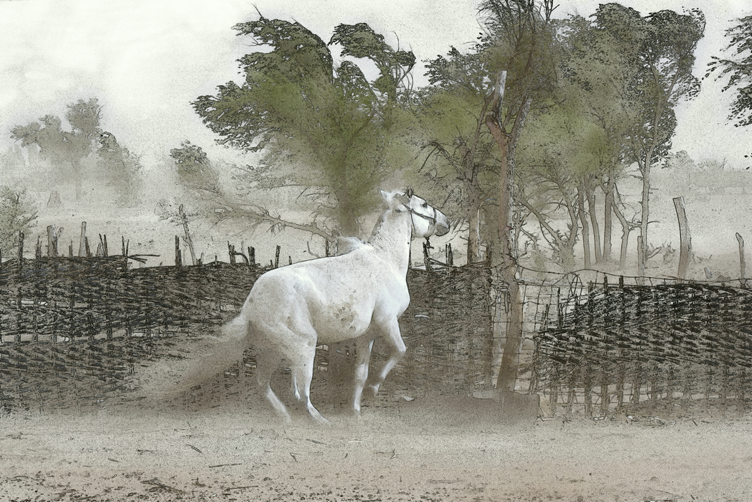 拍马都追不上的成语,拍马都赶不上的成语