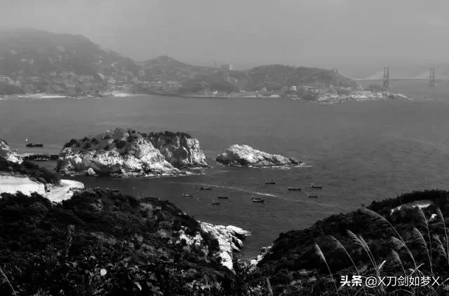 一位导游的枸杞岛之旅 (枸杞岛2021年原创游记攻略分享)