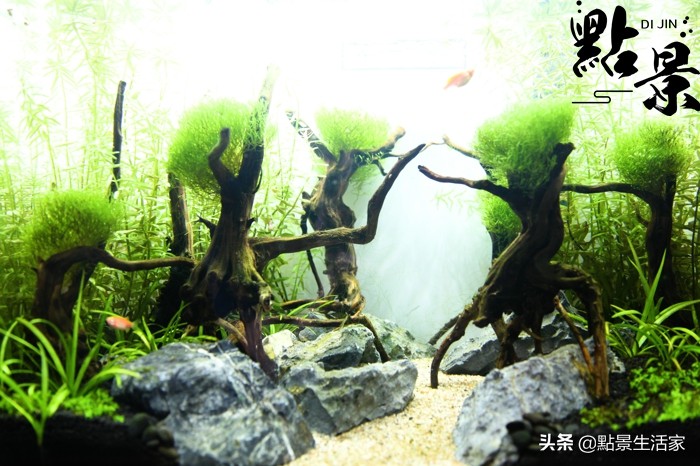 不看后悔的经营之道,不看就后悔的实用小技巧