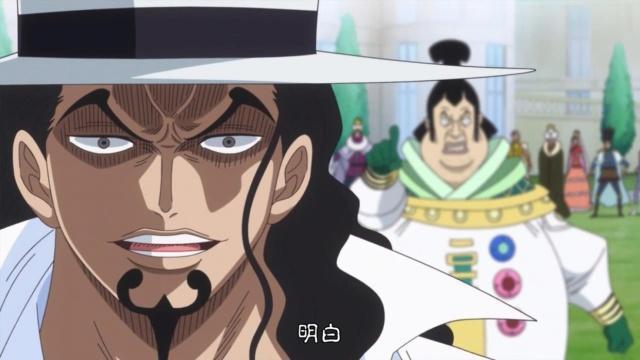 海贼王为什么有人不吃果实,海贼王天龙人不吃果实