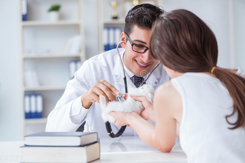 犬卵巢囊肿的症状,犬卵巢囊肿怎么才能消除掉