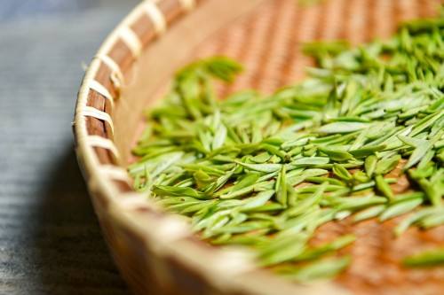 湖州青山绿水地方,为什么会选择安吉绿水青山