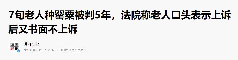 老人误种100株,七旬老人种4千多棵烟被判5年