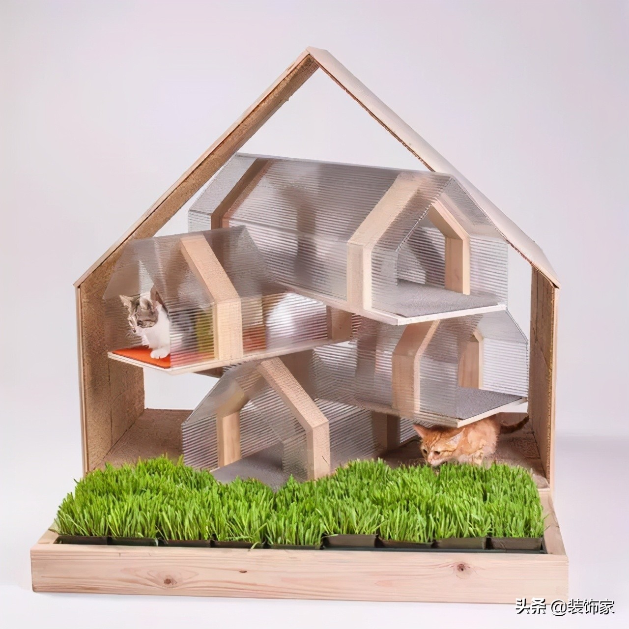 铲屎官最爱的客厅方案,铲屎官最满意的卧室装饰