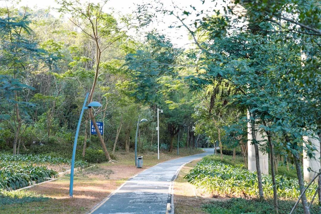 天下最美湖泊西湖,比西湖更美的湖泊