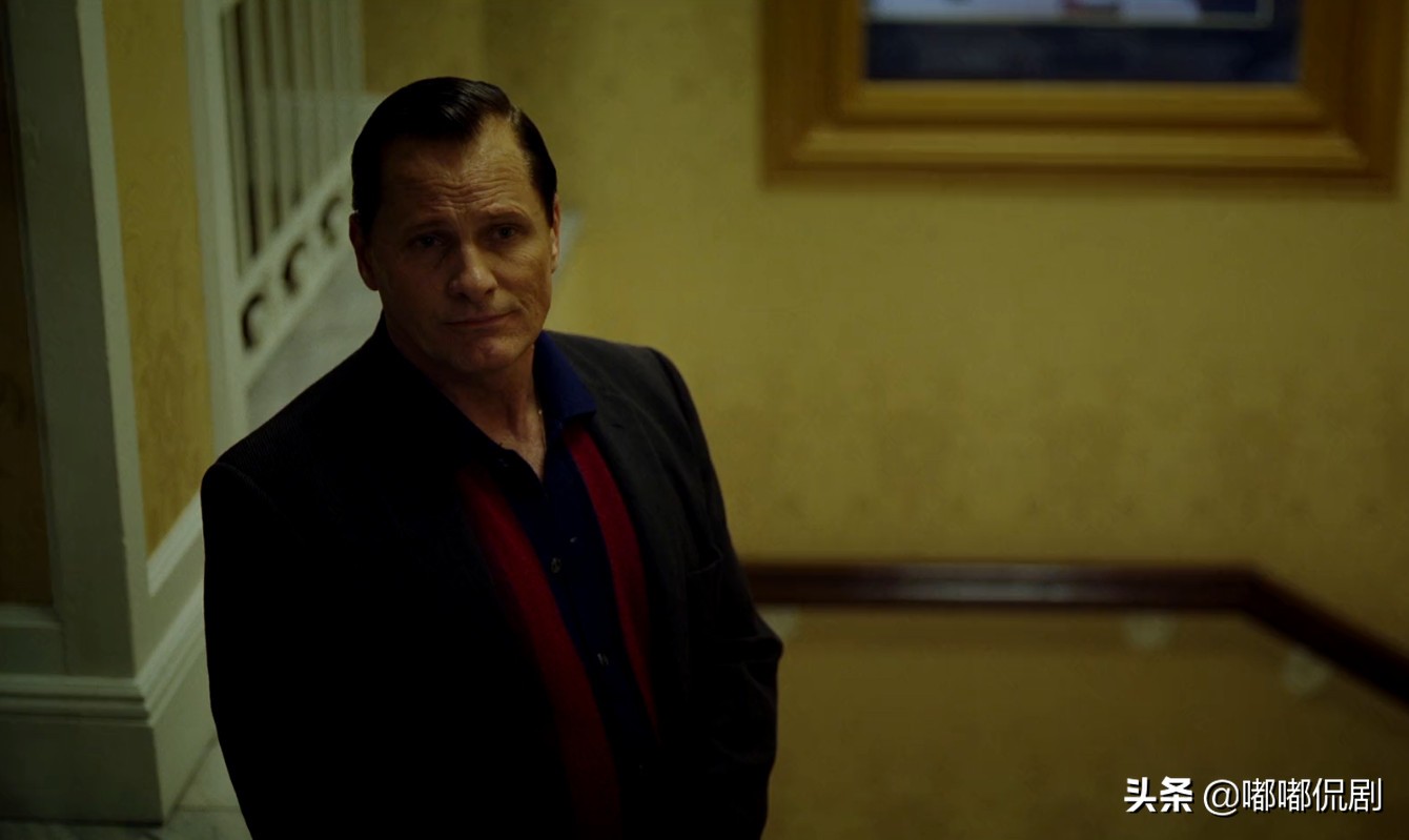 电影绿皮书剧情解析,绿皮书人性故事