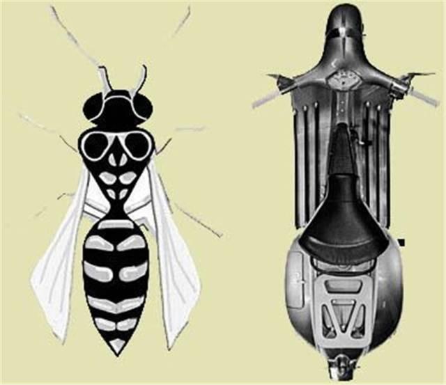 在这个纷扰繁杂的尘世间,在这个喧嚣多变的尘世