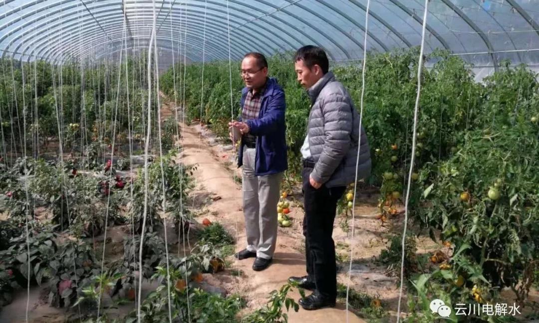 酸性氧化电位水——安全、环保、高效的杀菌用水