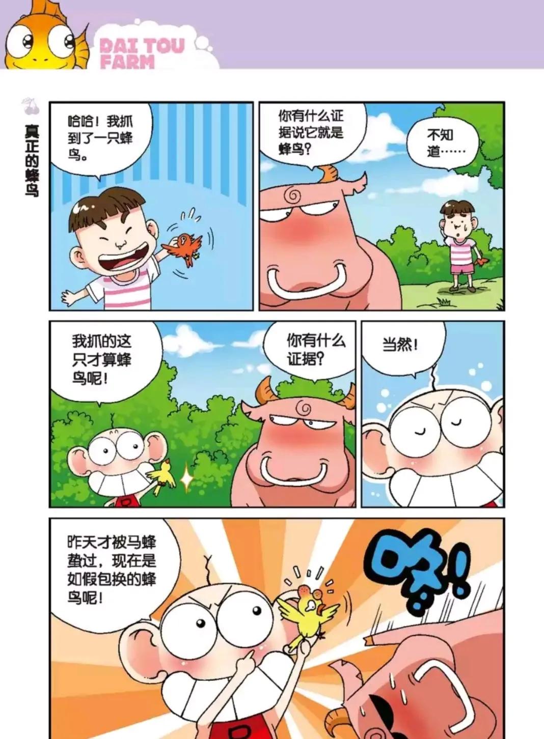 呆头的蜂鸟是怎样的