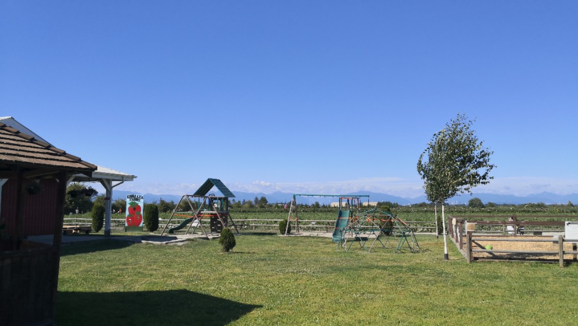 一家三口温哥华一年生活费,一家三口在加拿大的生活费用