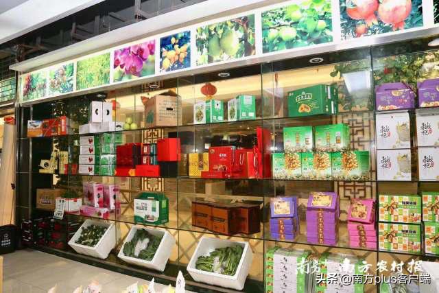 90后海归：携青年农民“抢滩”大上海，扬帆一带一路