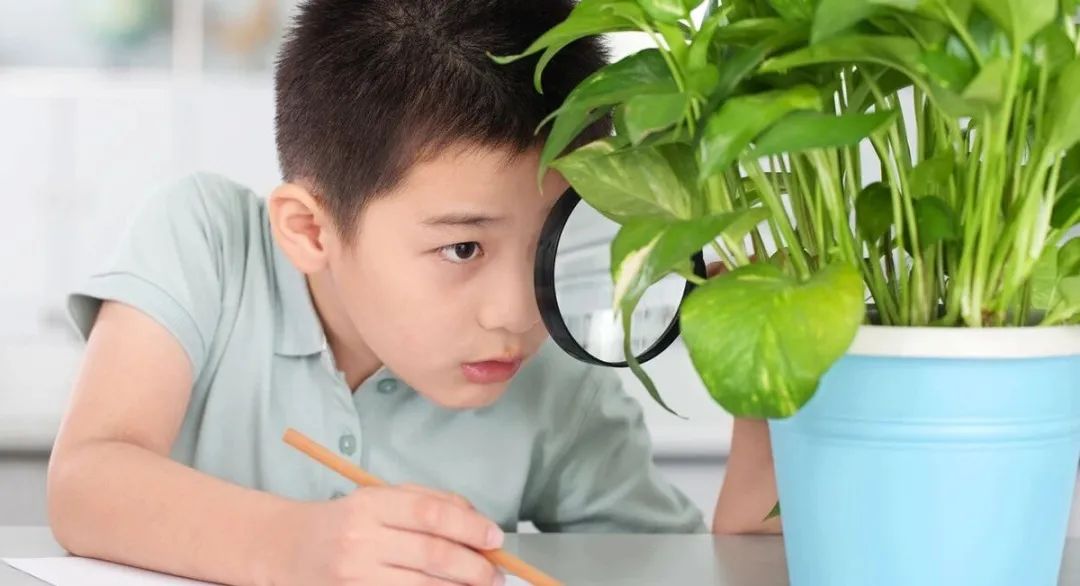 太原大成教育培训学校,太原大成培训学校怎么样