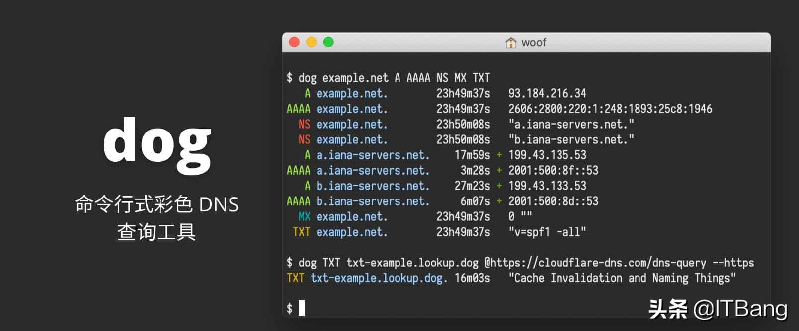 使用命令提示符查看本机的dns信息,dns管理工具dnscmd
