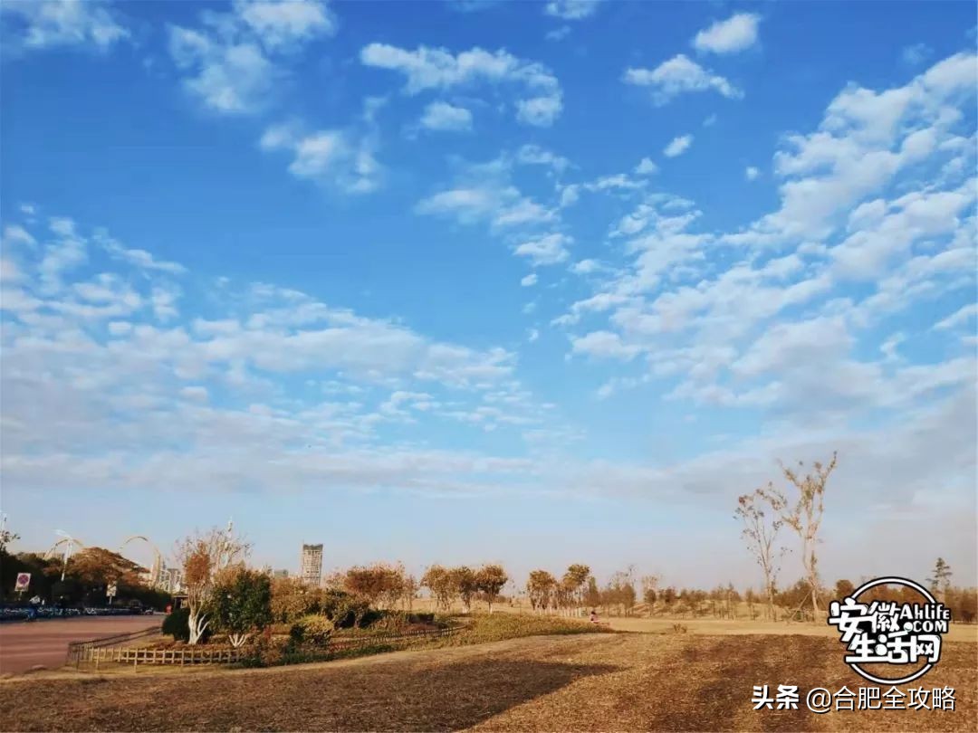 “合肥蓝”频频刷屏朋友圈！背后竟隐藏一个国家级团队...