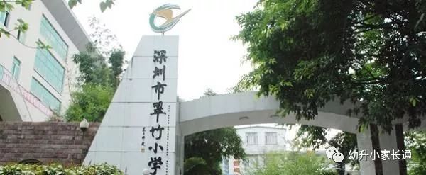 深圳最好的十大民办小学,深圳最好的小学排名一览表