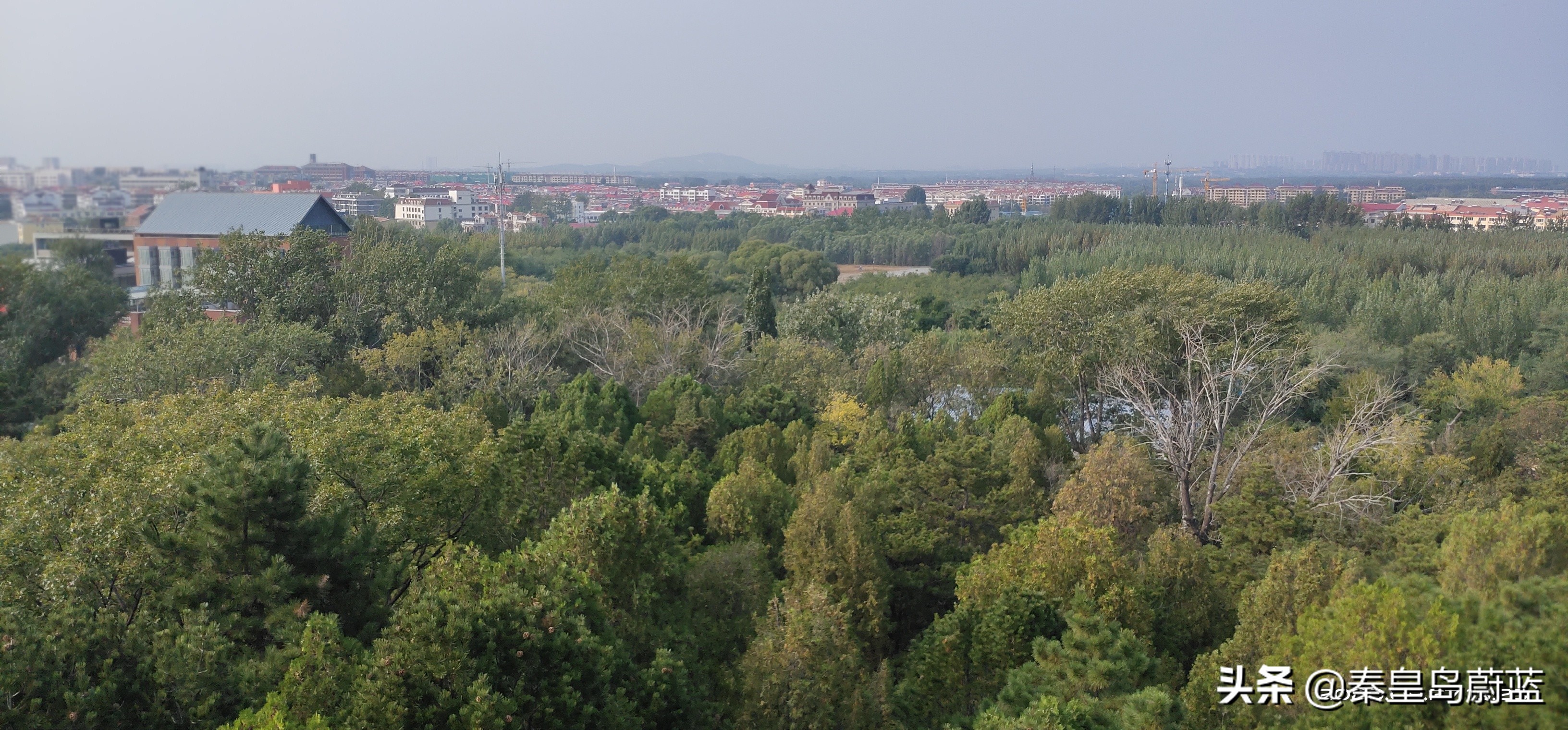 北戴河怪楼奇园来历,北戴河怪楼奇园视频