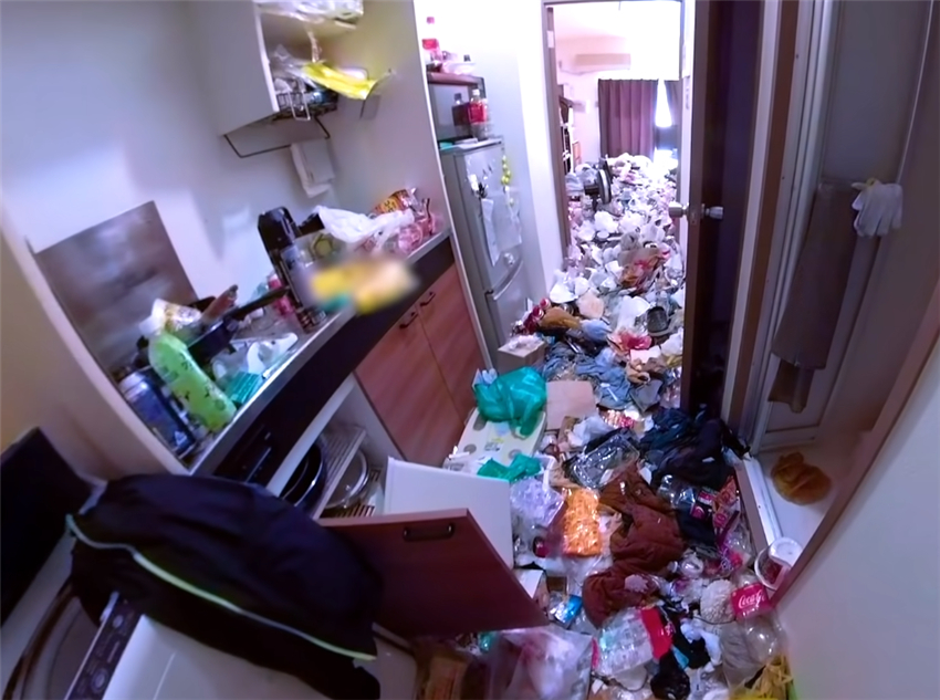 日本人家政服务,日本人家政