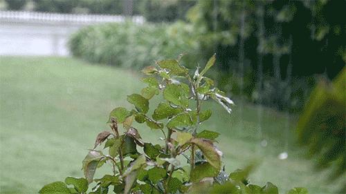 七绝南宋诗,宋诗三百首五言绝句大全