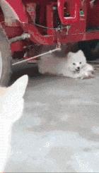 小众奢侈品手链,适合情侣用的奢侈品手链