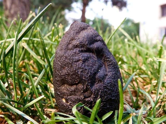 治疗更年期综合征的药物,治疗更年期综合征的中成药大全