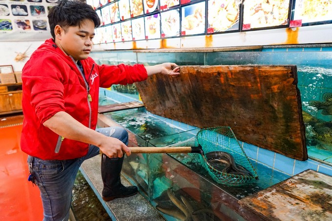 广东顺德美食旅游攻略学生,顺德自驾这份美食攻略要收好