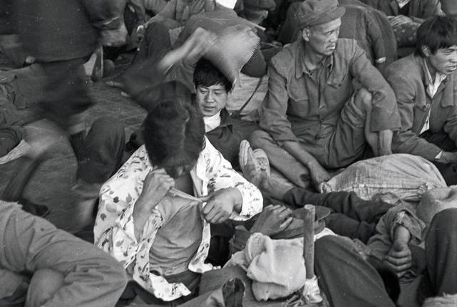 有的人长，有的人不长，为什么虱子总是光顾你？