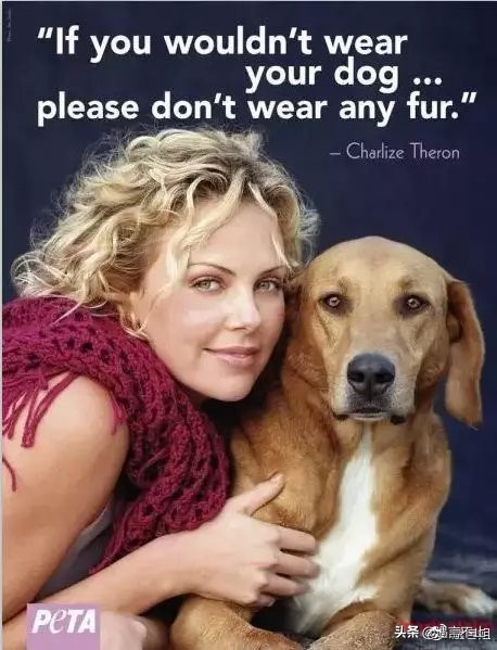 英国女王正式宣布拒绝皮草，愿世间没有血淋淋的时尚