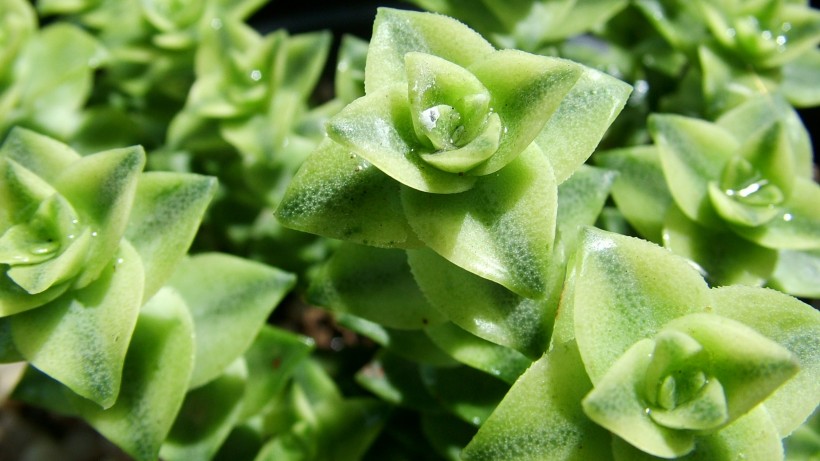 大学生怎么布置宿舍,大学寝室收纳布置