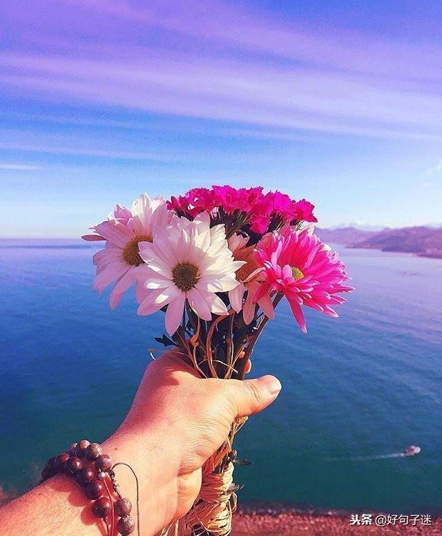 早安经典语录发朋友圈,早安正能量接地气简单语录