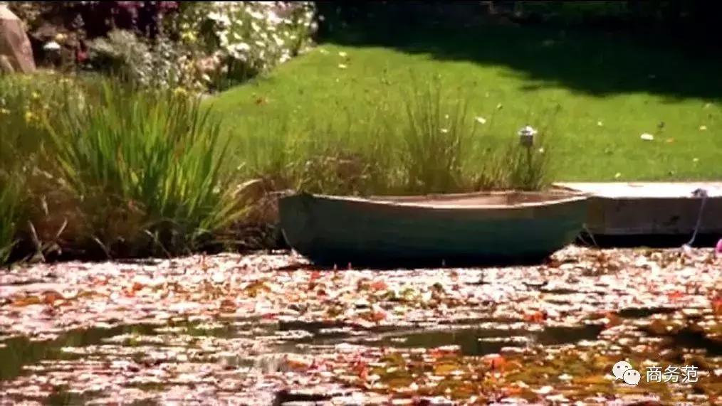 比弗利贵妇娇妻互撕,比弗利娇妻近况