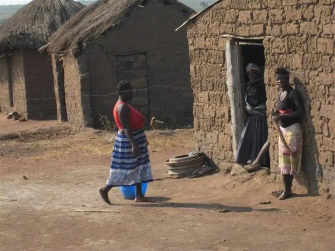 “非洲现状”！带您了解一个“狂野和真实”的非洲