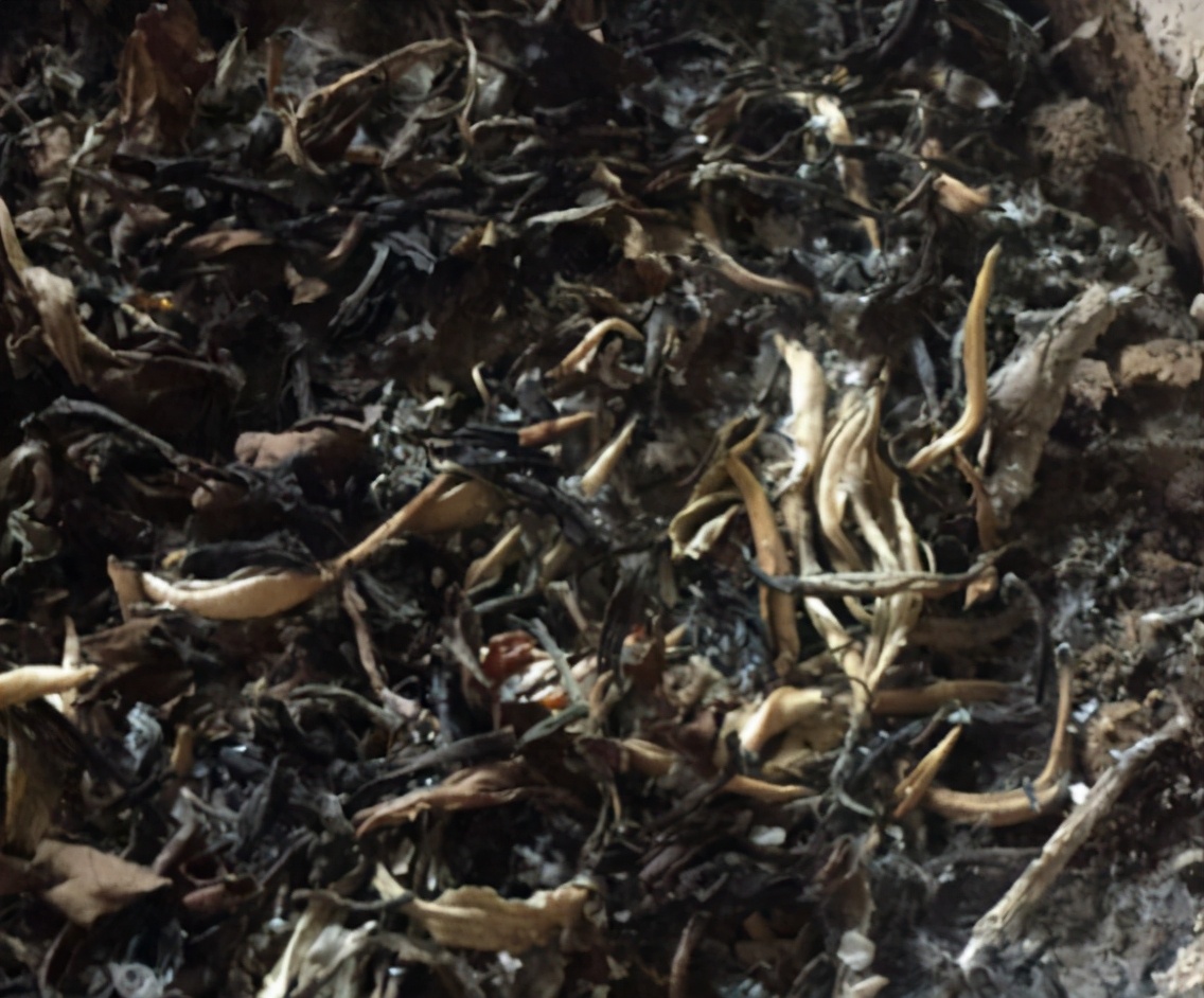 自制水肥需要注意什么,自制水肥氮肥过多怎么调节