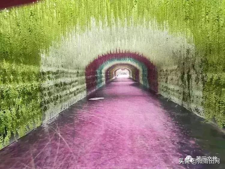 湄洲岛好玩还是九龙谷,去莆田先到九龙谷还是湄洲岛