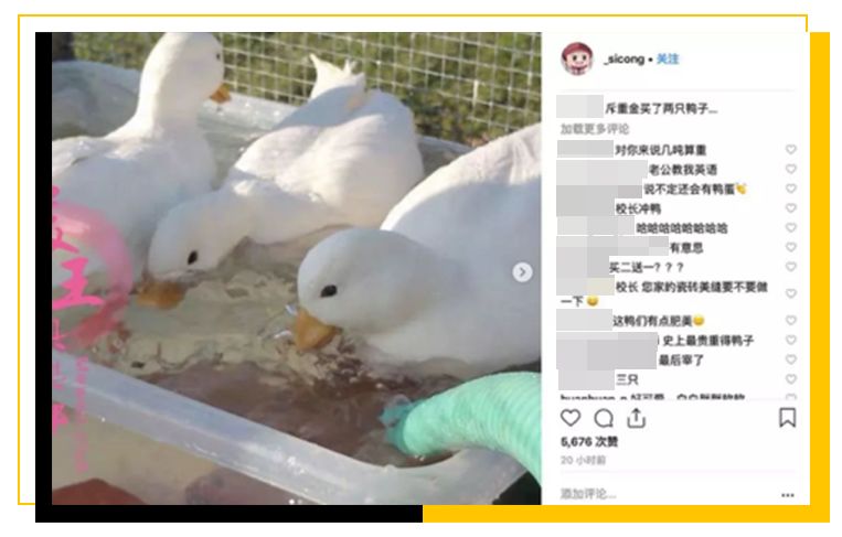 王思聪：老婆们出来还钱