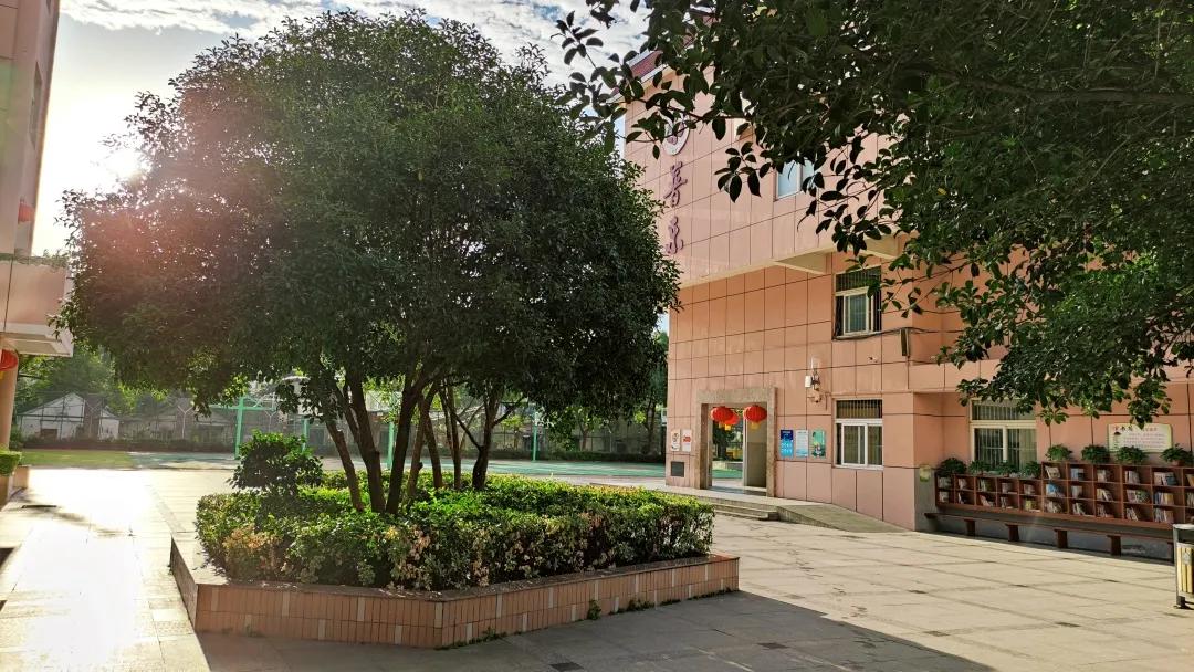 最美的风景美丽的校园,最美的风景就是校园