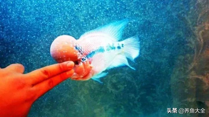 我要离婚老婆不同意,我要离婚老婆也要离婚