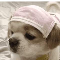 今日表情包第三弹图片,今日表情包收藏